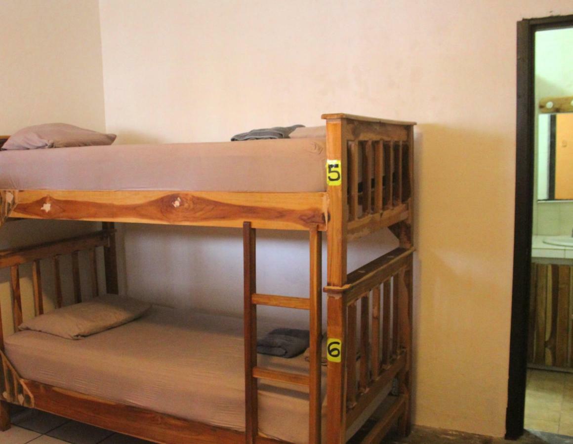 Casa Areka Hostel Πόλη του Παναμά Εξωτερικό φωτογραφία